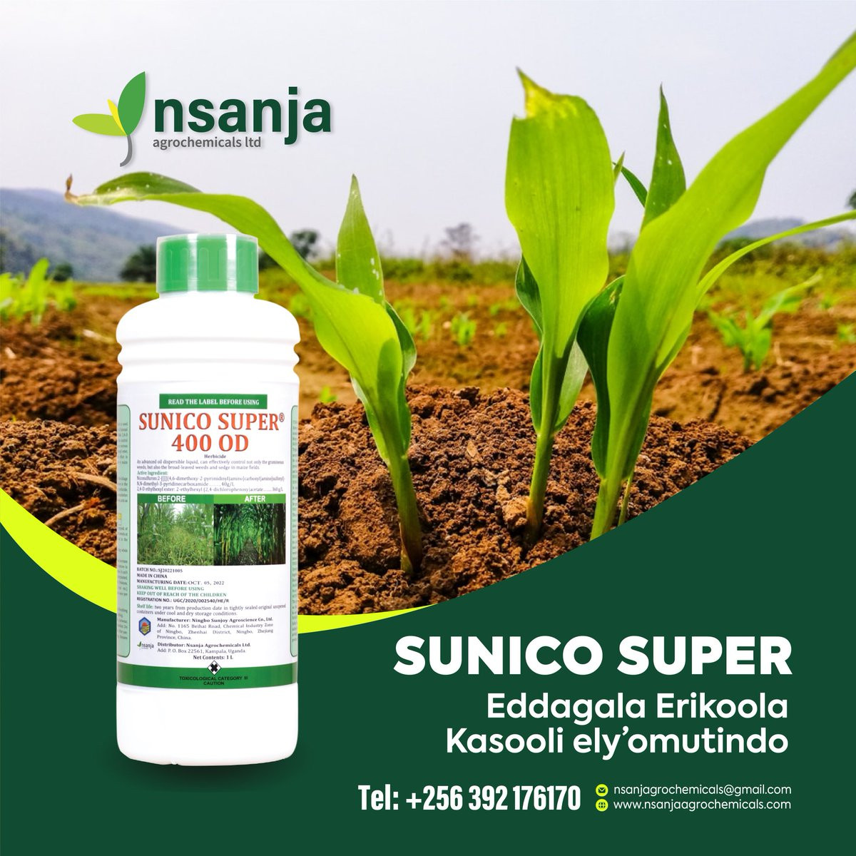 Estate Bongo Store promo